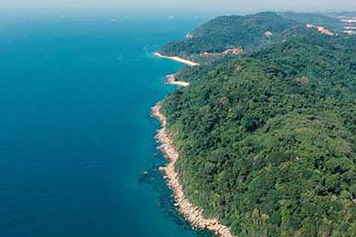 中国男子篮球联赛赛场上演惊天逆转，中国男子篮球比赛