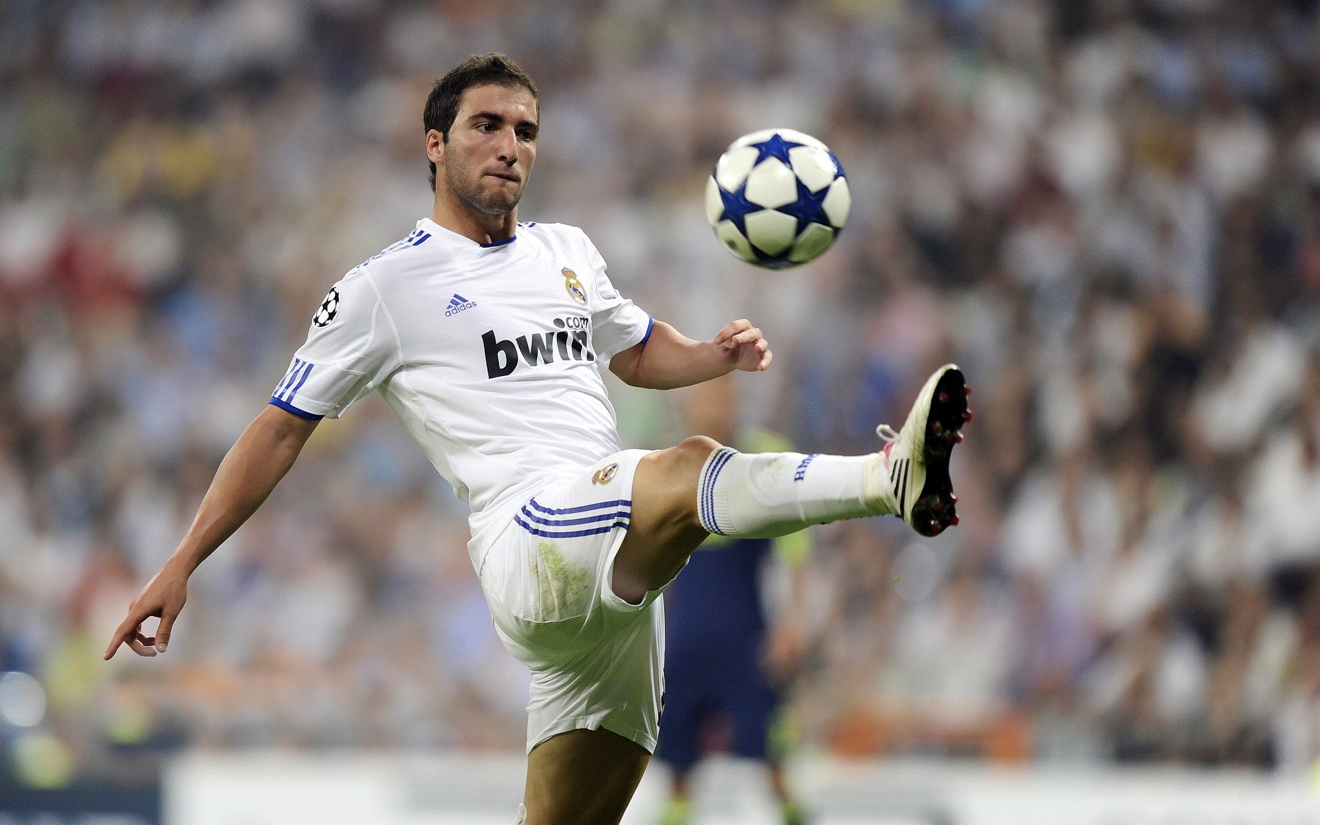 女足比赛中，中国队员郑某实力出众，中国女足被球迷亲切的称为